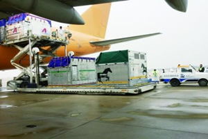 雄達(dá)國際物流公司