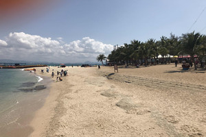 國(guó)際物流公司